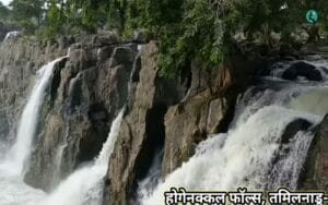 होगेनक्कल फॉल्स, तमिलनाडू