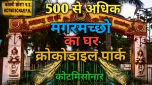 क्रोकोडाइल पार्क कोटमिसोनार छत्तीसगढ़