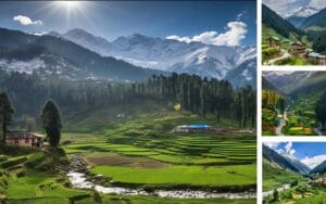 Banikhet tourist places