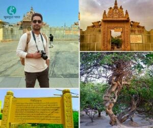 Nidhivan Vrindavan travel tips best time to visit Nidhivan Vrindavan