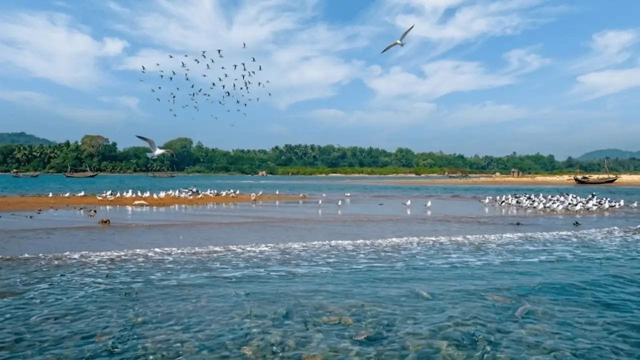 Chilika Lake history